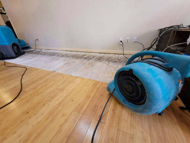 Professional Water Removal technician working in Inverness, CO